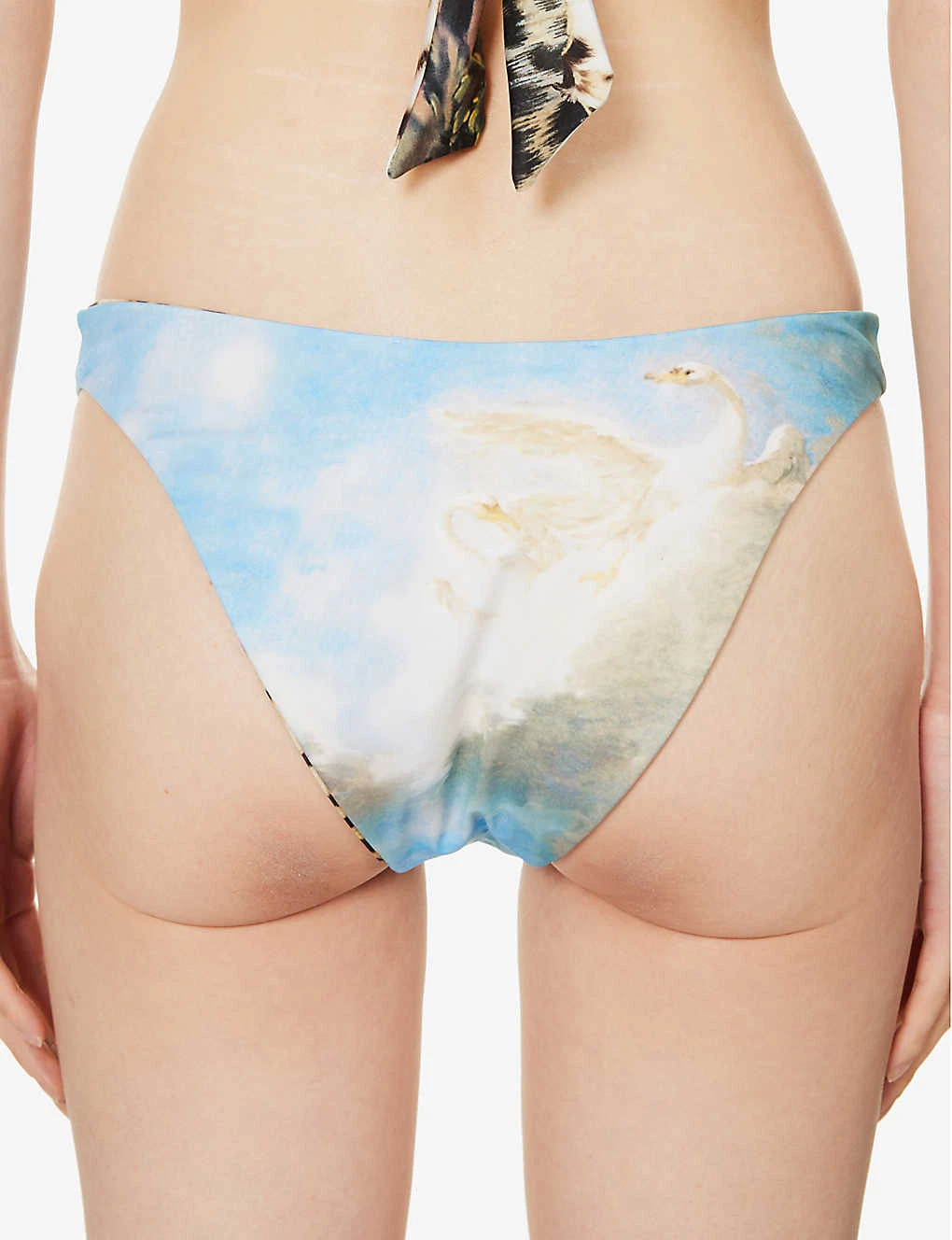 Roberto Cavalli Graphic-pattern Mid-rise Bikini Bottoms 5 Roberto Cavalli Graphic-pattern Mid-rise Bikini Bottoms - Image 5